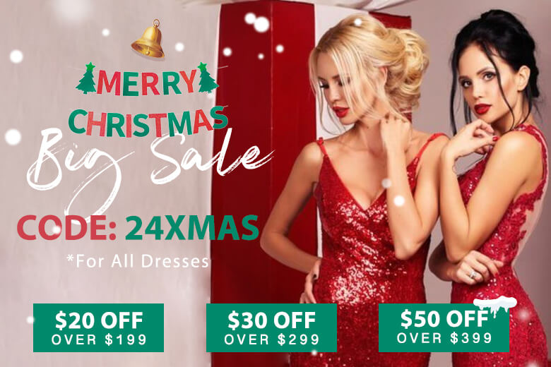 2024 Merry Christmas Big Sale